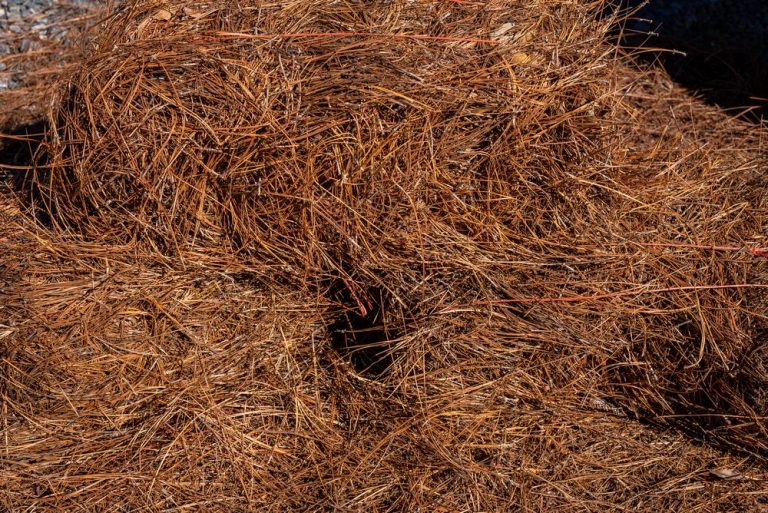 Pine needles (Bale) Landscaping Supplies