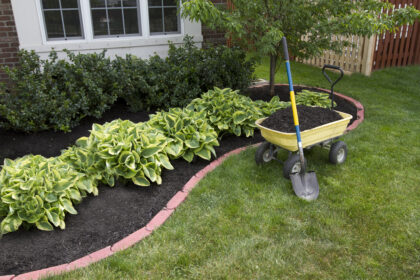 Enhance Your Landscape with Premium Mulch from Lake Wylie Outdoor Supply